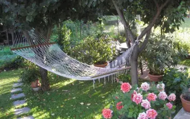 Casa Petunia