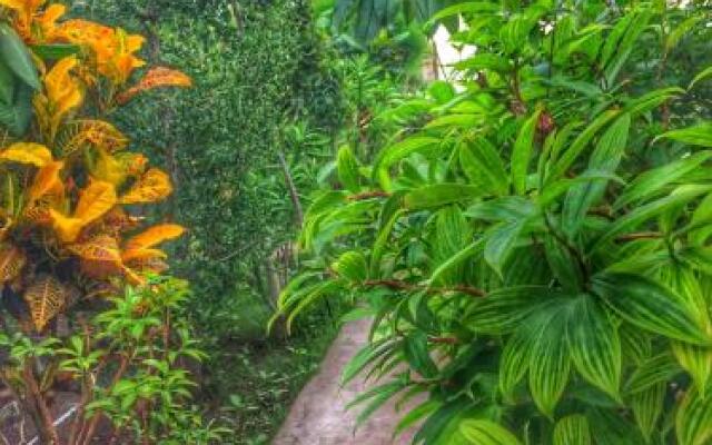 Gili Spoy - Spoy Homestay