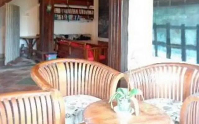 Kintamani Backpackers