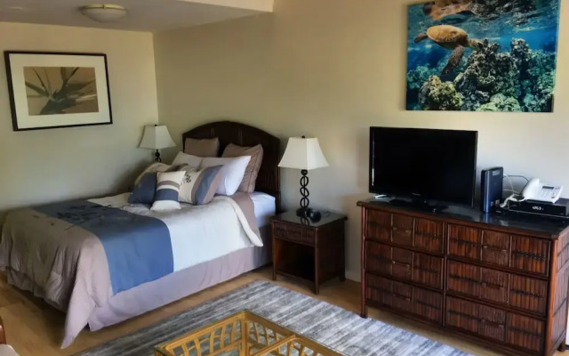 Kihei Bay Surf #257 - Studio Br Condo