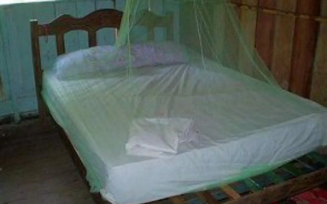Manaus Jungle Hostel