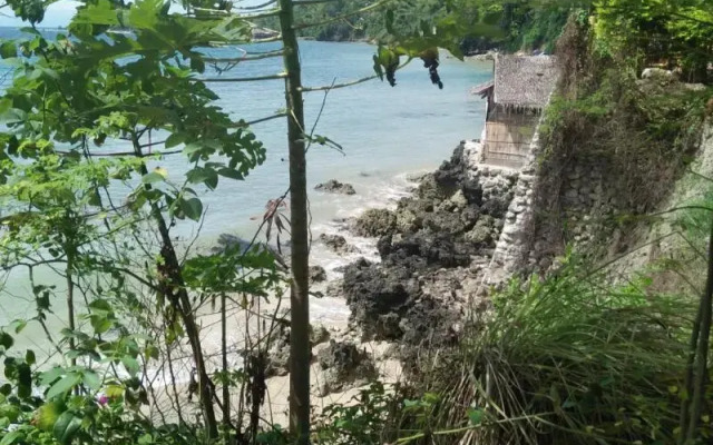Bamboo Beachhouse