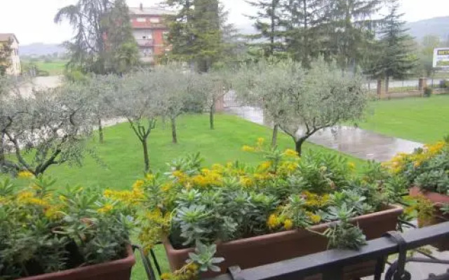 La Strada Di Francesco DAssisi