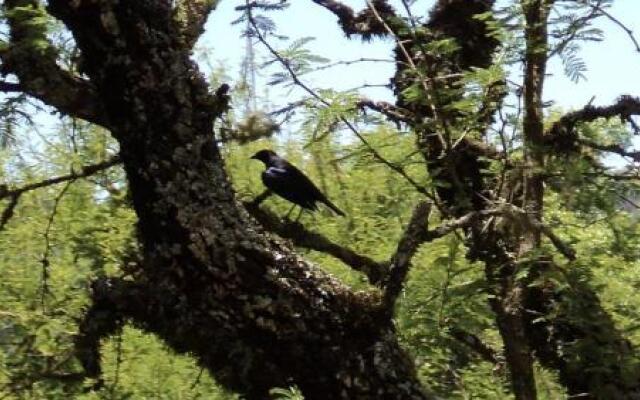 Turismo Rural Barro Blanco