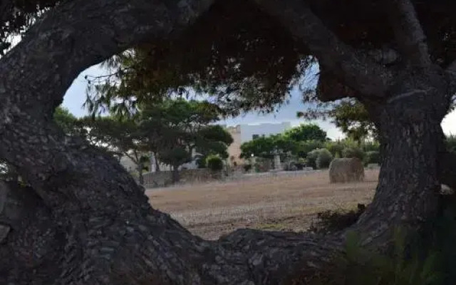 Appartamenti la Pinetina di Favignana