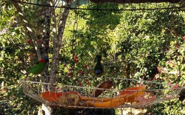 Recanto Ipê Amarelo