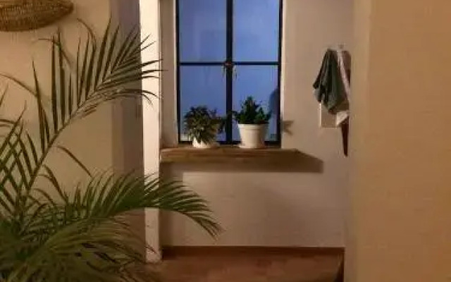 Casa Molcajete