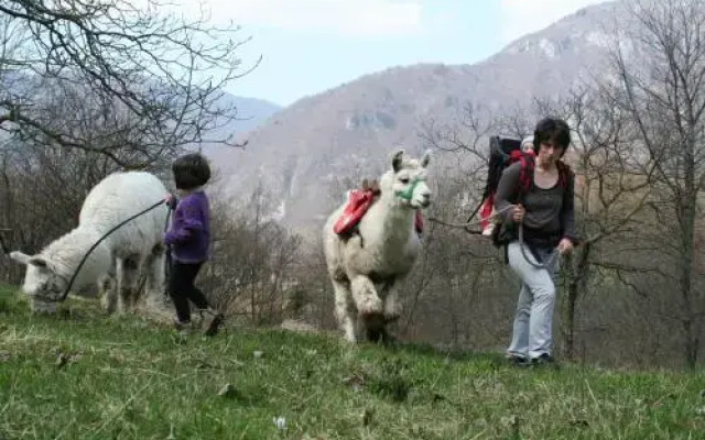 Il Capriolo Felice - Agriturismo