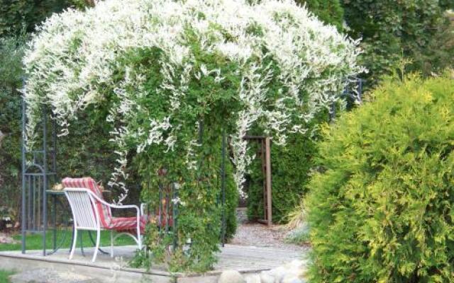 Bavarian Orchard Motel