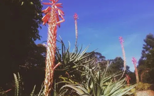 Estalagem Usina Velha