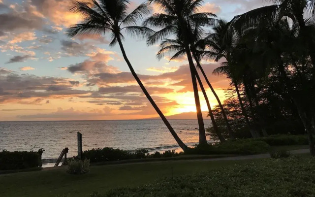 Wailea Elua #2303