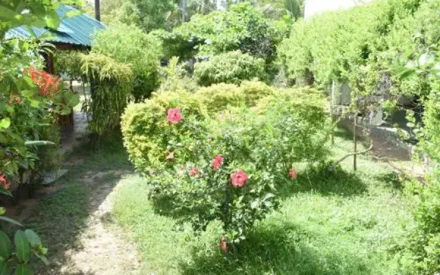 nilaveli palm house