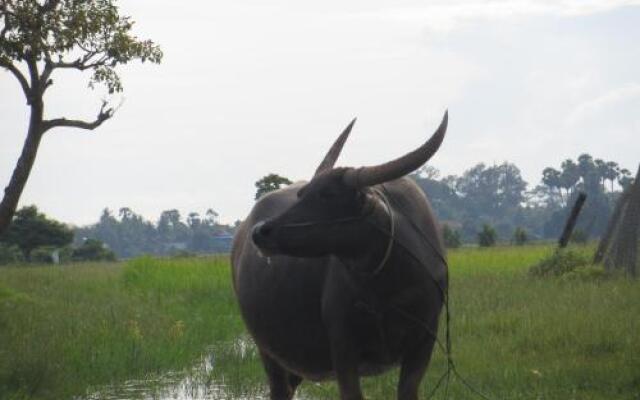 The Siem Reap Countryside