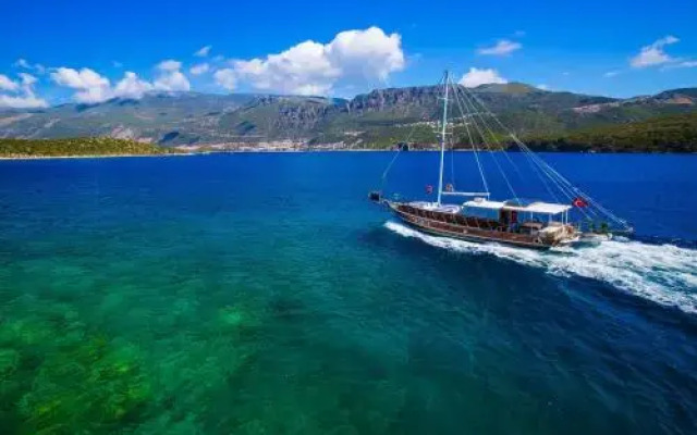Blue Cruise