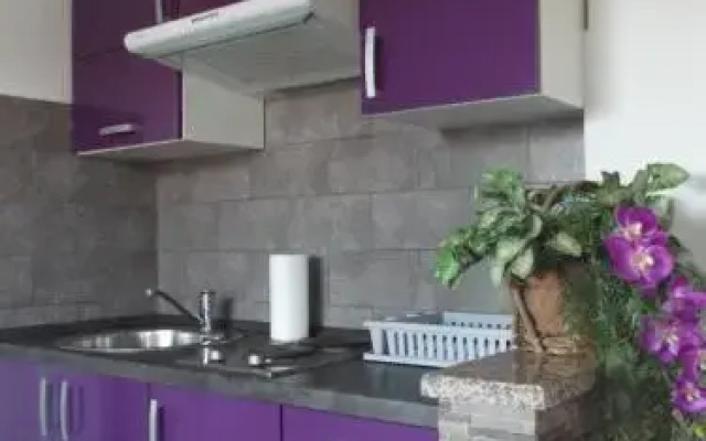 Apartments Ema