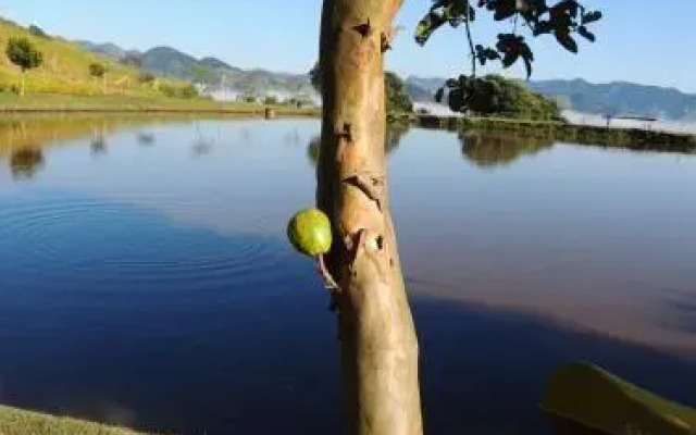 Tocas do Lago