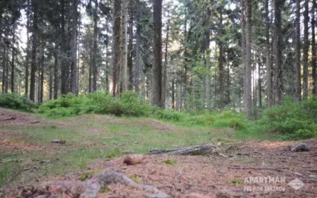 Apartmán Pec pod Sněžkou