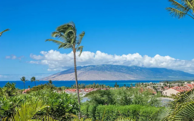 Maui Kamaole #L-202