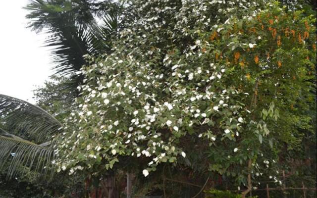 Heslaa Hills Kandy