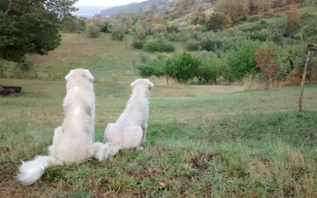 Agriturismo Monterone