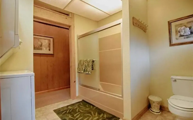 The Bernstein Bear Cabin - 2 Br Cabin