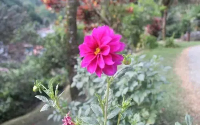Pouso Canto Verde