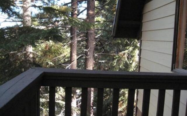 Mammoth View Villas 18