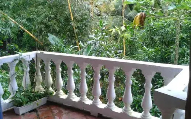 Coibahouse