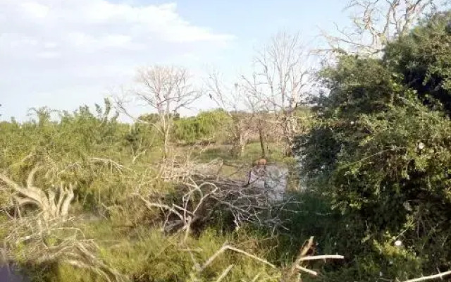 Lavendra Villa Mirissa