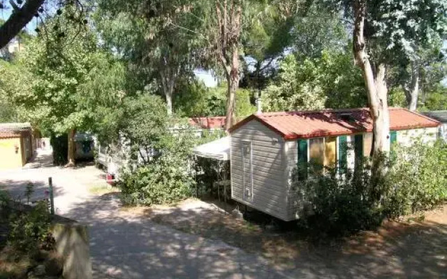 Camping Reale