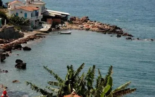 Alkioni Studios