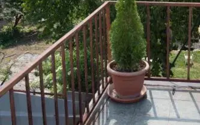 Guest House Bujrum
