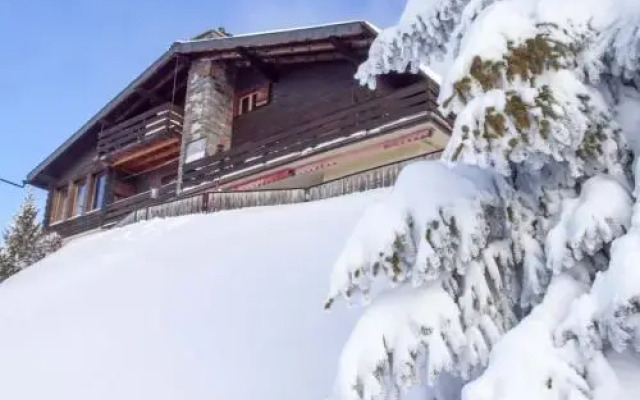 Chalet Panorama