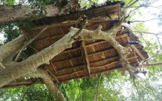 Kumbuk Tree House