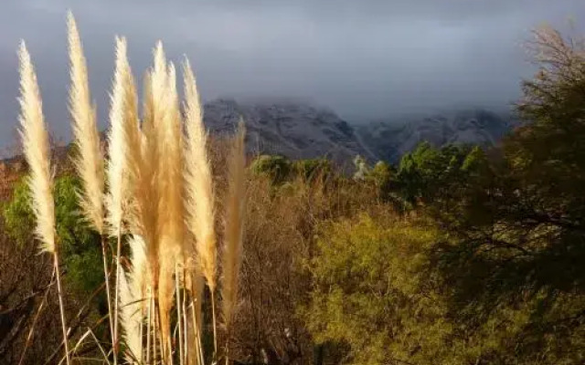 El Viejo Algarrobo - Hosteria Serrana