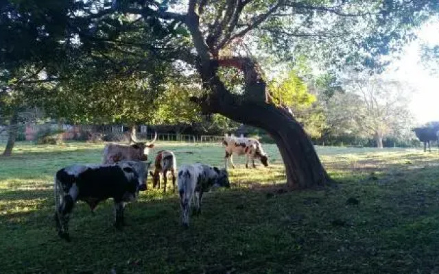 Seaforth Farm B&B