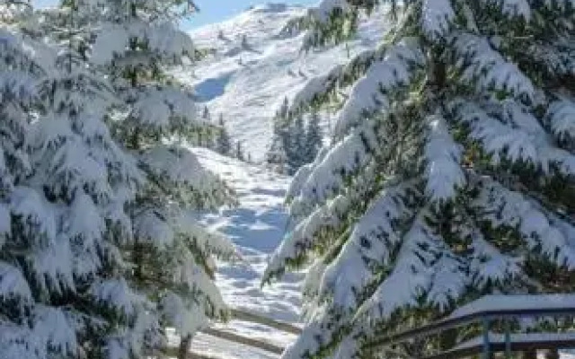 Rajska Jahorina