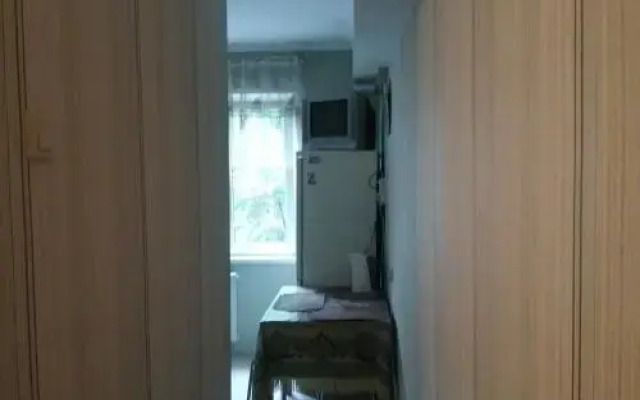 Apartment Vorovskogo 49 у музея