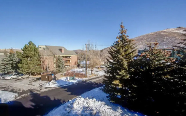 Powder Pointe by Alpine Ski Properties