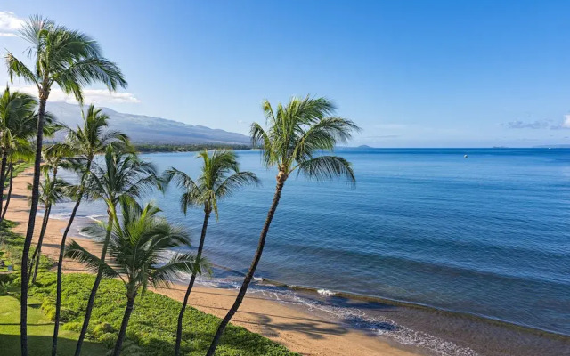 Maui Beach Kondo