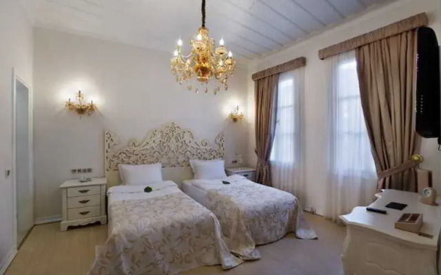 Elegance Dream