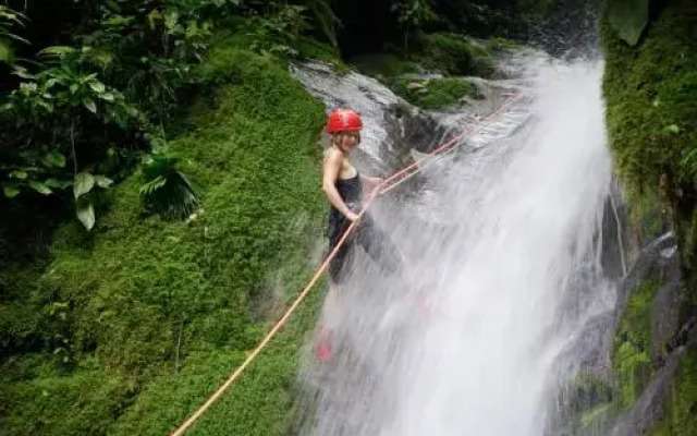Selva Bananito Lodge