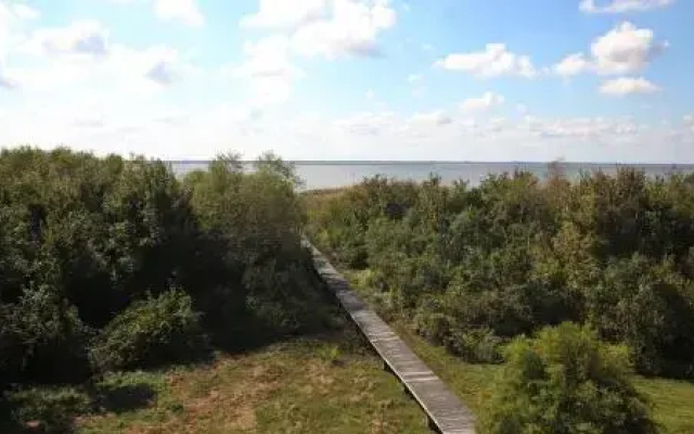 Somerset - 5 Br Home