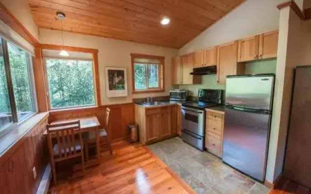 Evergreen Forest Cabins