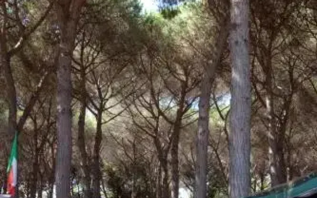 Camping Village Africa