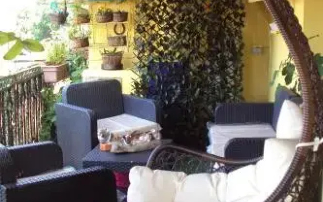 BB Camera  Caffe