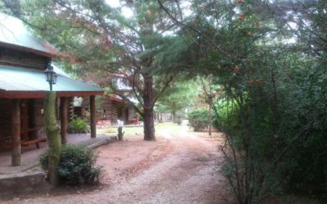 Cabañas Villa Lancuyen