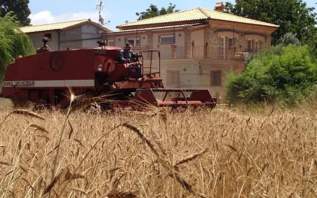 Don Carlo Agriturismo Di Charme Bio