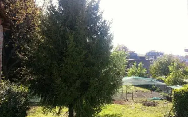 Il Nido del Pettirosso