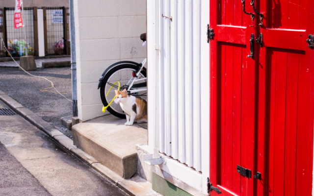 Guest House Orange Fukuoka